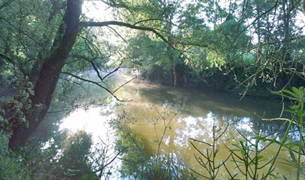 River Layon at the château