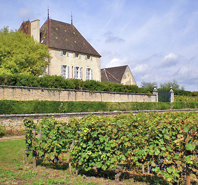 Chteau Chorey and its vineyards
