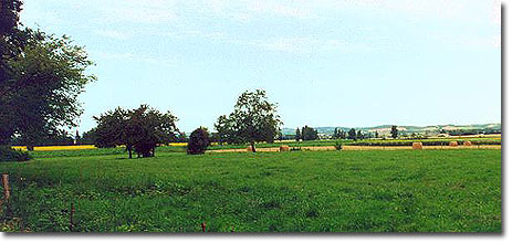 Countryside at Garrevaques