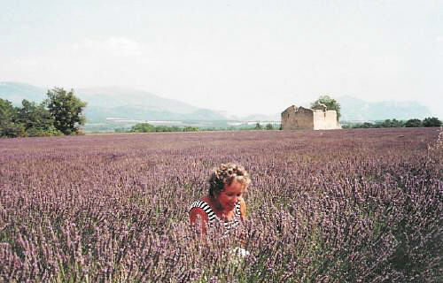 Barbara Beaumont surrounded by fragrant lavender!