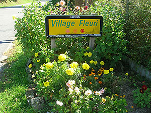 Village Fleuri designation.  2011-present Cold Spring Press.  All Rights Reserved
