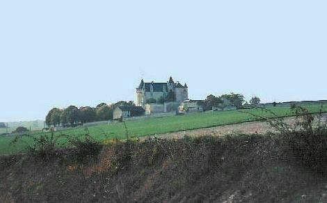 Distant view of Chteau de la Motte