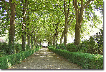 Tree-lined alle to the Chteau