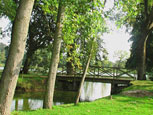 The bridge in the park